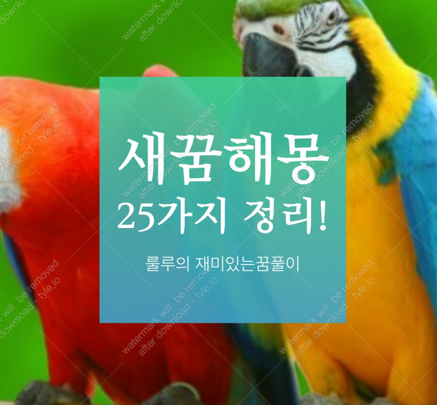 백조와 믿음 이미지