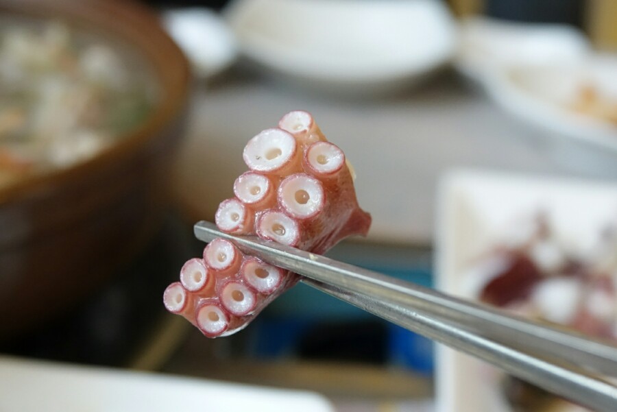 황제오리 이미지