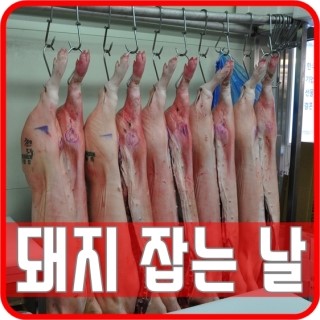 천돌축산 이미지