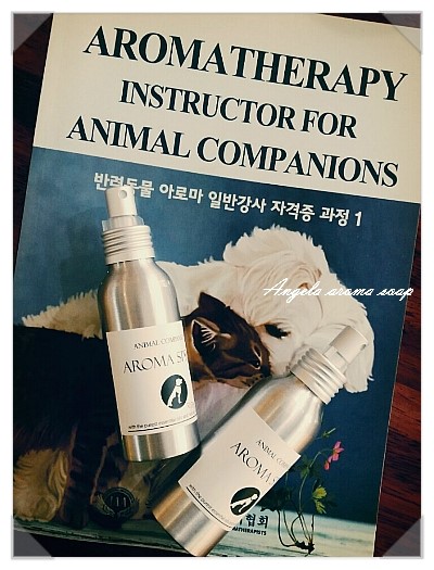엔젤라아로마솝 이미지