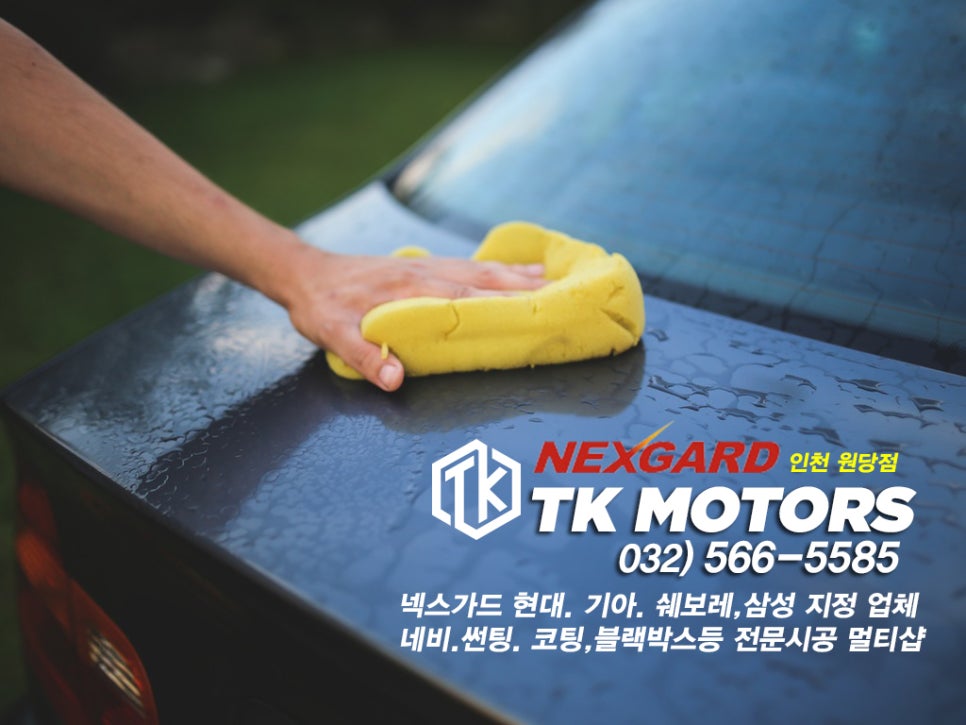 티케이모터스 이미지