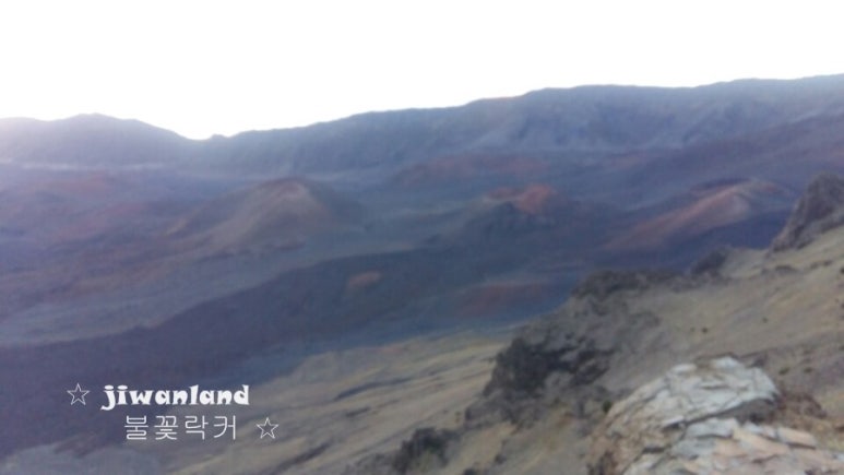 대양여행사 이미지