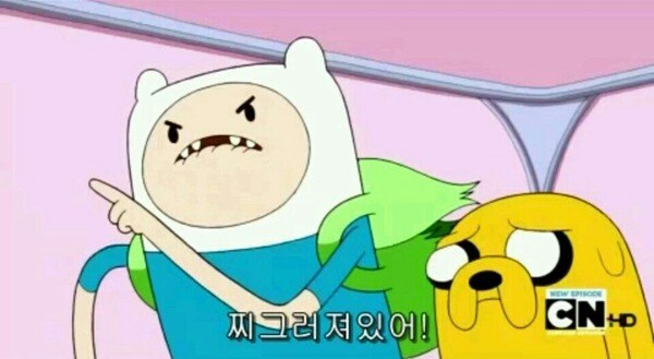 셀네트웍스 이미지