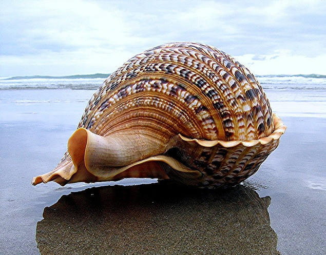 복산식품 이미지