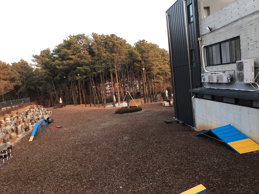 보듬 애견훈련소 개인레슨 후기: 초인종 짖음 해결 — 사진 9