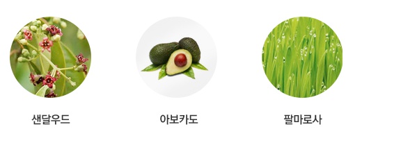 디엔피씨 이미지