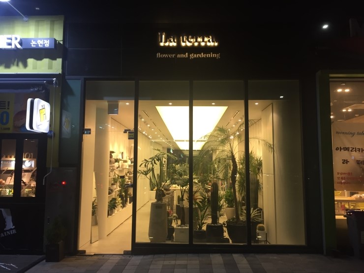 라테라 이미지