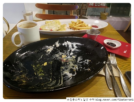 레드콜리 사진 8