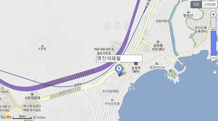 영진어페럴 이미지