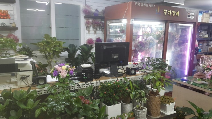 플로라플라워 이미지