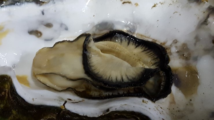 진도식당 이미지