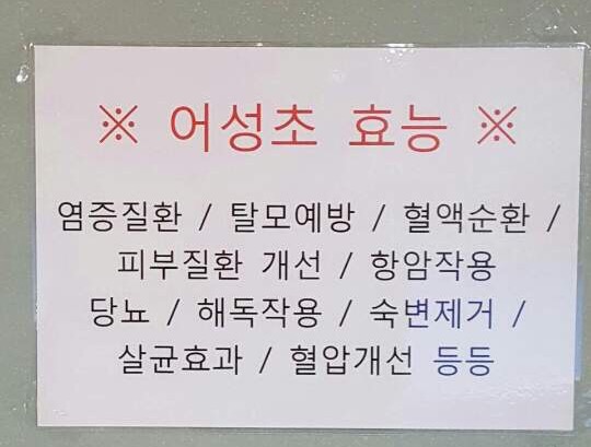 차당구클럽 이미지