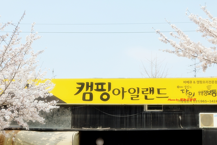 캠핑아일랜드 이미지