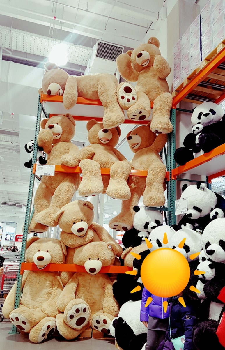 래드랩 이미지