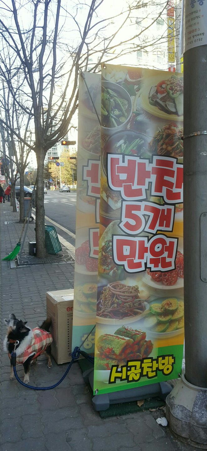풍동시골장터 이미지