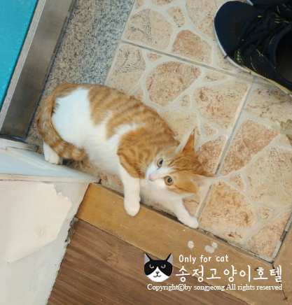 릴리호텔 이미지