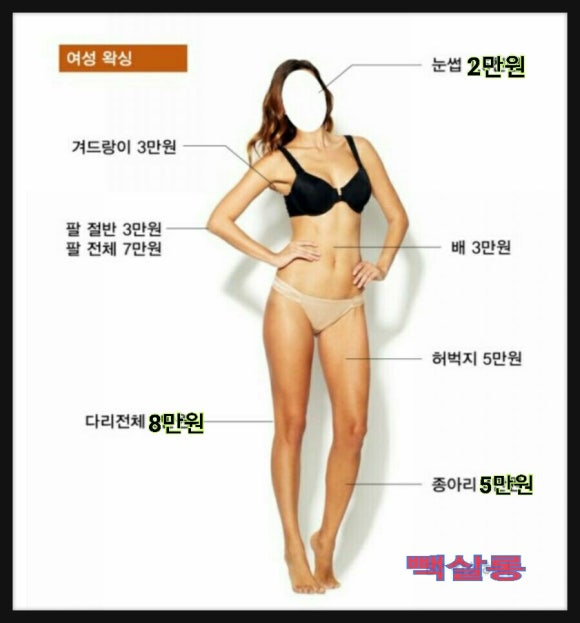 빽살롱 이미지