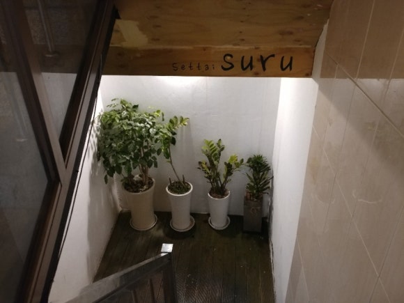 세타이수루 이미지