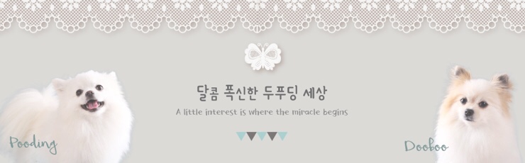 달콤언니 이미지