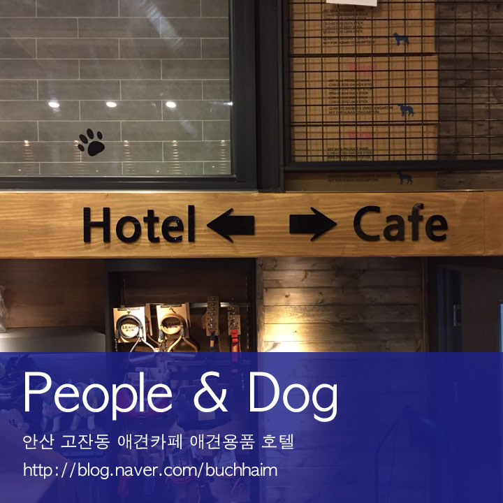 앤PEOPLE 이미지