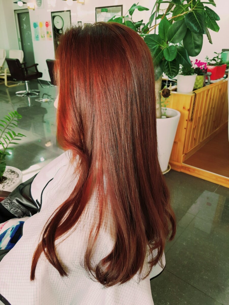 미쁘롱 이미지