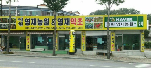 영재농원 이미지