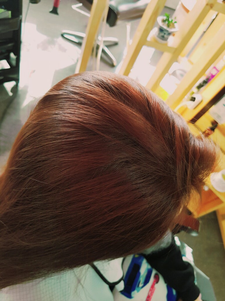 미쁘롱 이미지