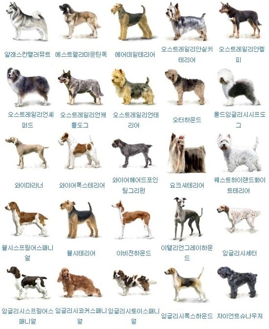 더(THE) 단디 이미지