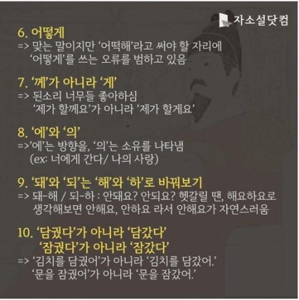 페스코 이미지