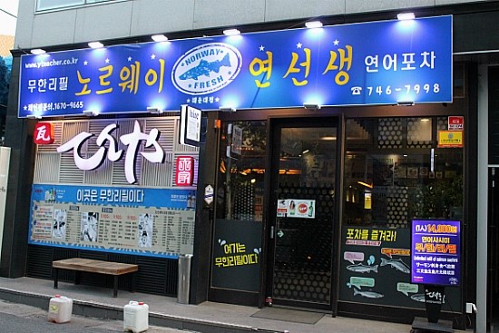 연선생 이미지