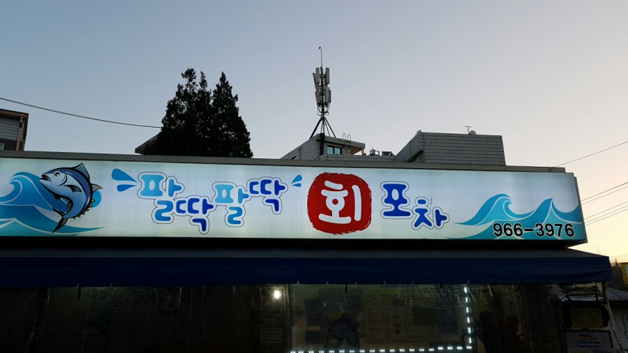 팔딱팔딱회포차 이미지