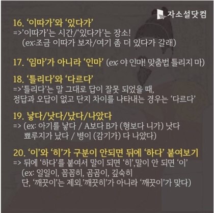 페스코 이미지
