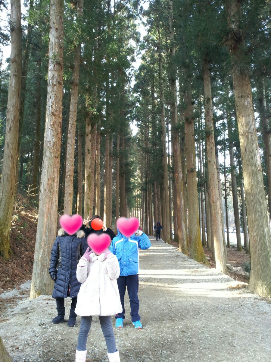 보성카써비스 이미지