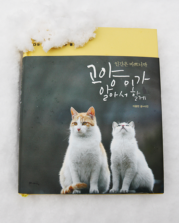 알콩달콩이야기 이미지