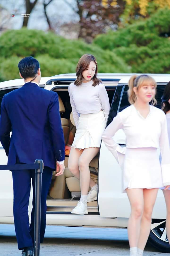 봉스 이미지