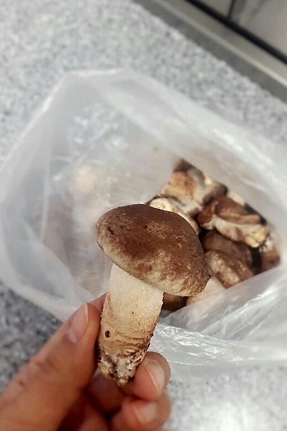 수담미오 이미지