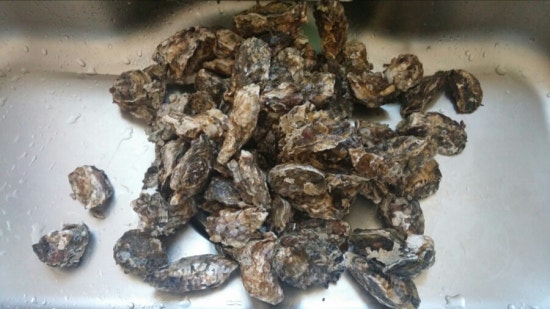 석화야식 이미지