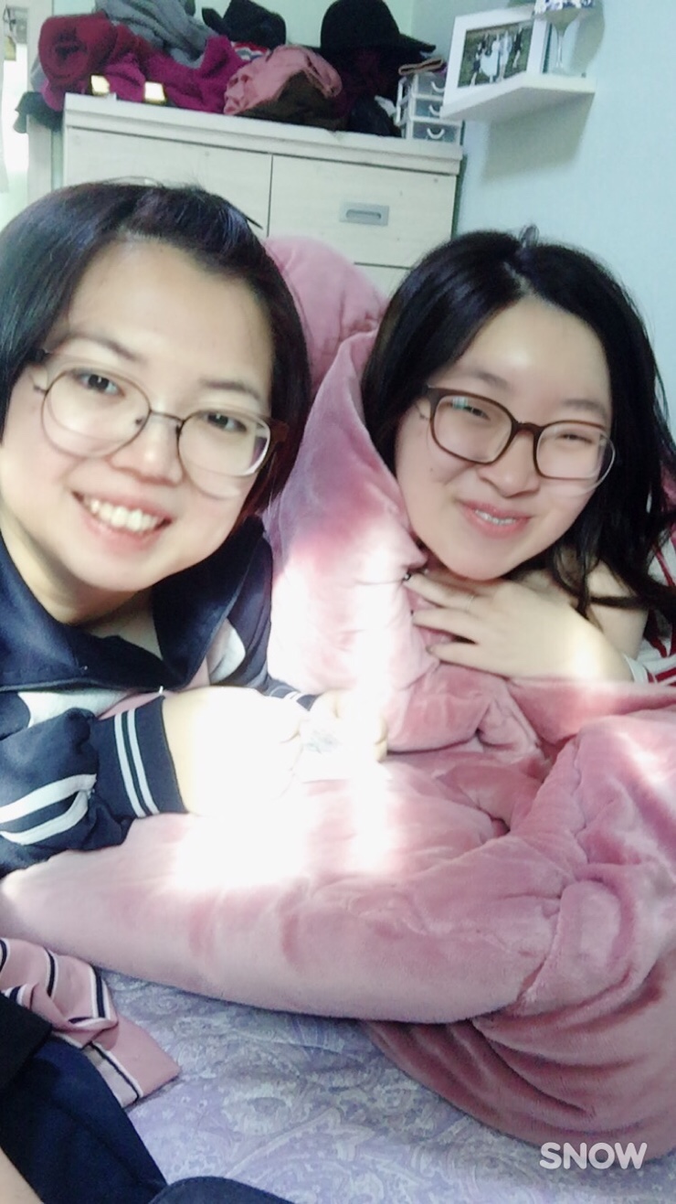 놀스타 이미지