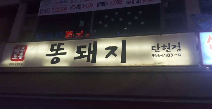 제주토종똥돼지 이미지