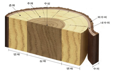 이심재 이미지