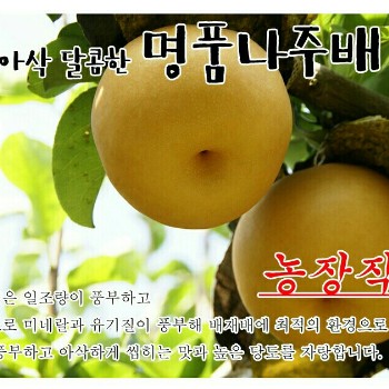 나주목사골배 이미지