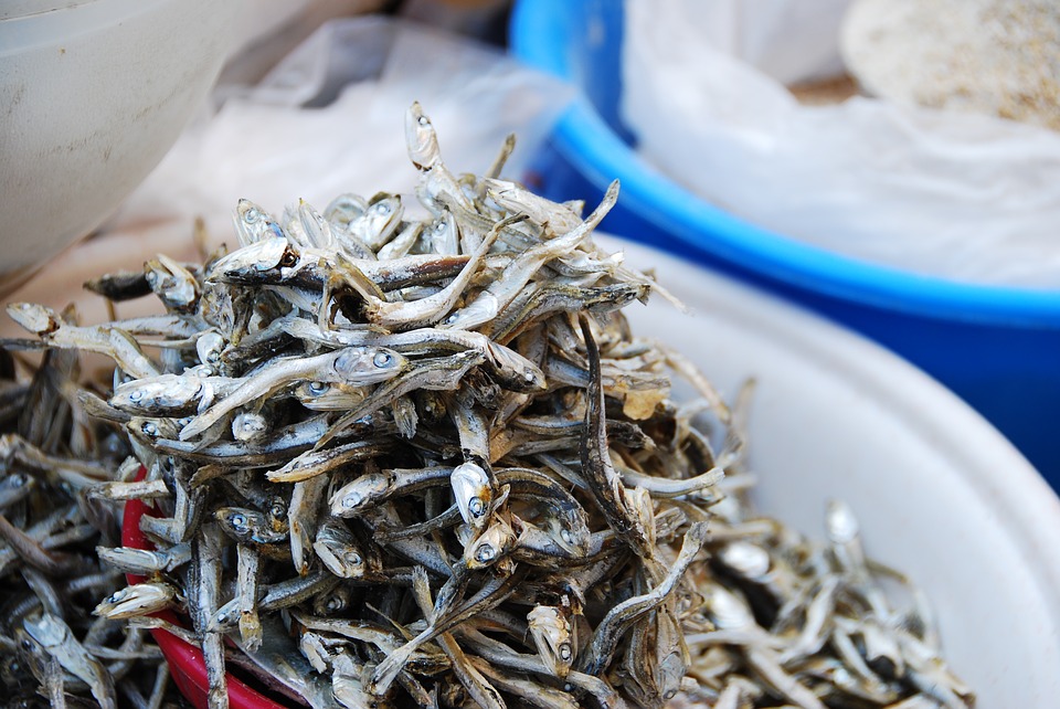 대구신화수산(주) 이미지