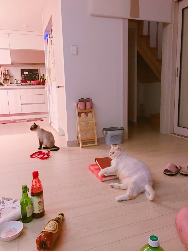 삼비 이미지