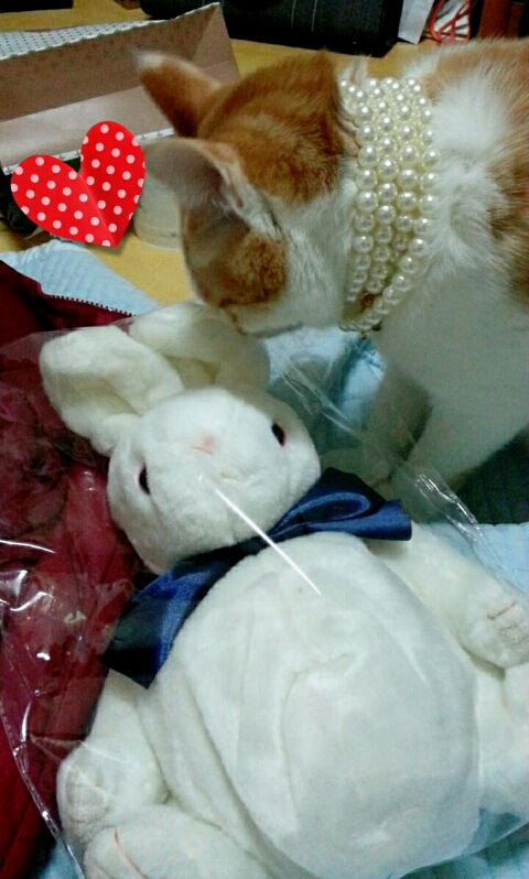 큐티나티 이미지