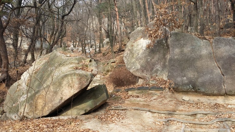 이수산림 이미지