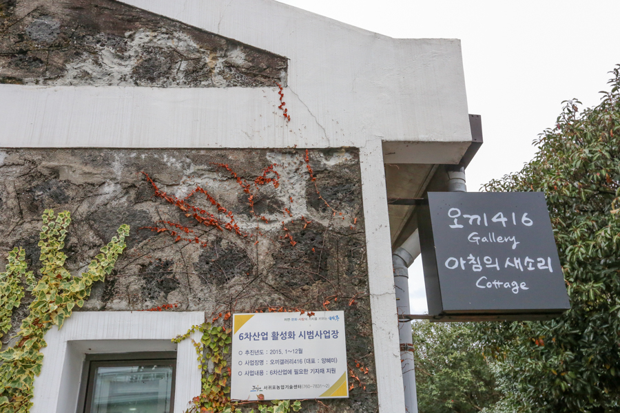 오끼416갤러리 이미지