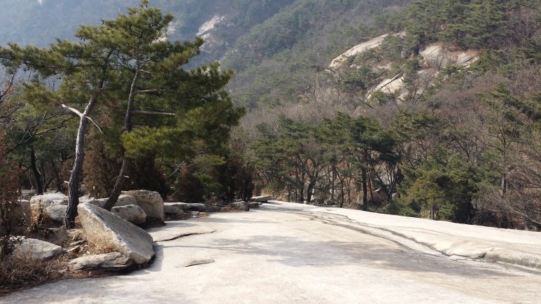 이수산림 이미지