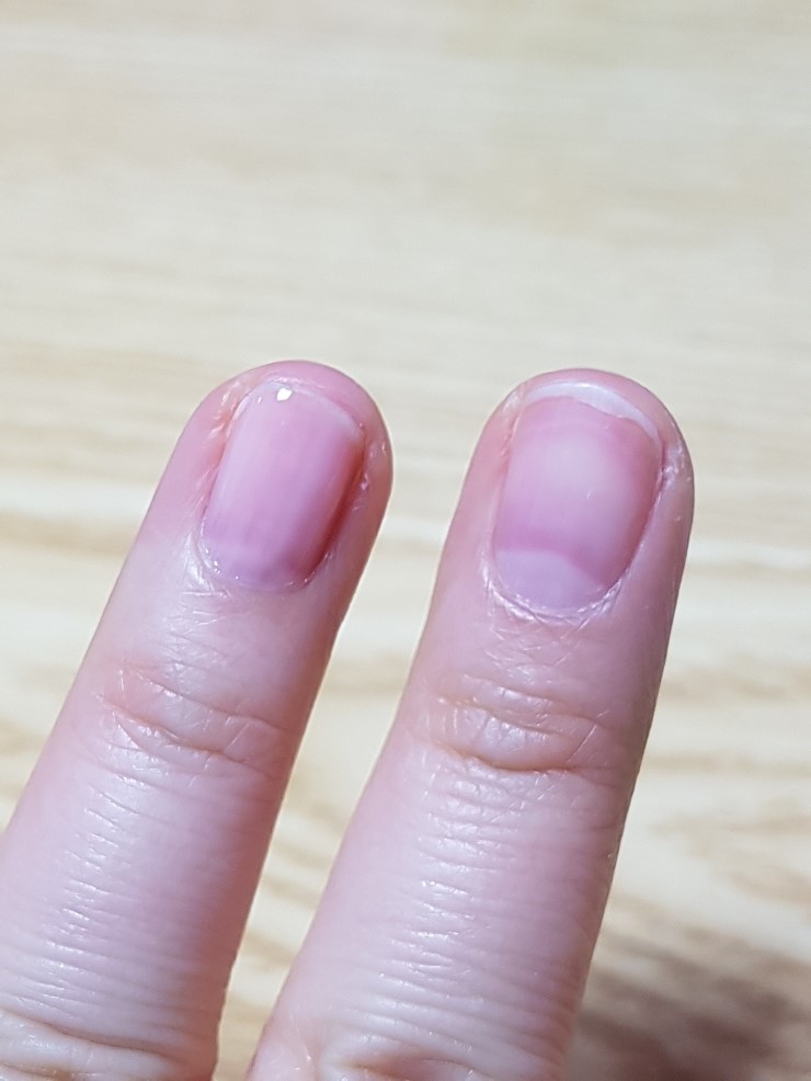 참한디자인 이미지