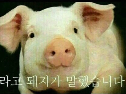 살롱드J 이미지