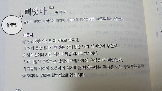 보리 국어 바로쓰기 사전! 우리말을 바로 쓰는 길잡이 사전 : 네이버 블로그